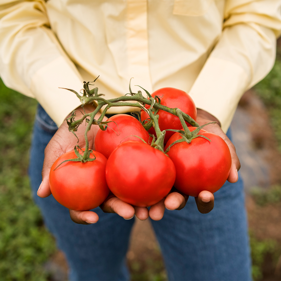 Neden Anneli Lezzet?